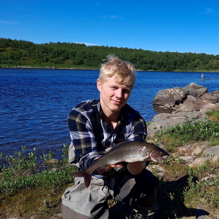 Harjus kuuluu saalisilmoitusvelvollisuuden piiriin, mutta vain osassa maata. Harjukset tulee ilmoittaa sisävesissä leveyspiirin 65°00′N eteläpuolella sekä meressä.