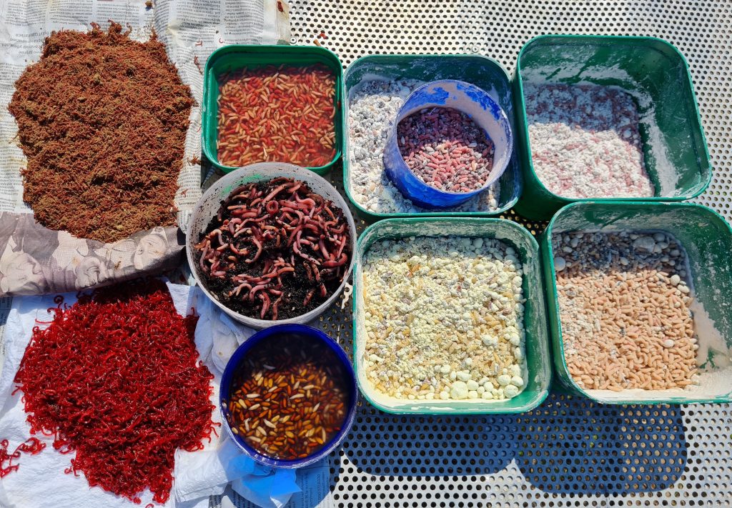 Kilpaonkijan syöttejä