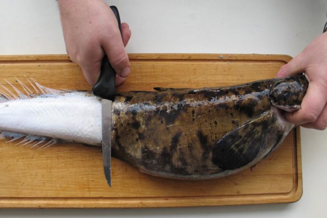 Lämmön ja hankauksen vaikutuksesta ihon tumma pintakerros irtoaa. Sen alta paljastuu lumenvalkea nahka, joka suojaa kalan pintaa ruoaksi valmistettaessa. Nahka on myös herkullisen makuista rapeaksi paistettuna tai kalakeitossa. Lämmön ja hankauksen vaikutuksesta ihon tumma pintakerros irtoaa. Sen alta paljastuu lumenvalkea nahka, joka suojaa kalan pintaa ruoaksi valmistettaessa. Nahka on myös herkullisen makuista rapeaksi paistettuna tai kalakeitossa.