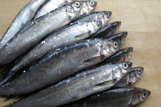 Kookkaiden muikkujen puhkominen saattaa olla työlästä ja hankalaa paljain käsin. Siksi apuna voidaan käyttää sormien asemesta tukevateräisen, mutta ei kovin terävän kalaveitsen kaarevaa kärkiosaa.

Aseta muikku kyljelleen käsittelyalustalle selkäpuoli itseäsi päin. Paina veitsen kärjen lappeella rintaevien takaa vinottain niin voimakkaasti, että terä uppoaa kalaan, mutta ei mene siitä läpi. Vedä muikkua sopivalla voimakkuudella veitsestä poispäin, jolloin kalan rintaevät sekä kidukset jäävät terän alle ja sen sisälmykset jäävät niihin kiinni.