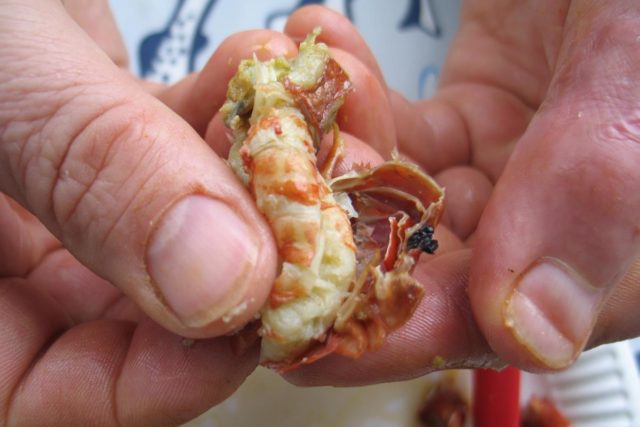 Jos pyrstöliha ei tästä huolimatta lähde irti, irrota pyrstöosan kilpi sen toisesta sivusta rapuveitsen avulla.

Irrota pyrstölihan päällä oleva pitkittäinen lihassuikale pääpuolelta alkaen ja poista sen alla oleva vihertävä suoli. Herkullinen pyrstöliha on valmis syötäväksi.